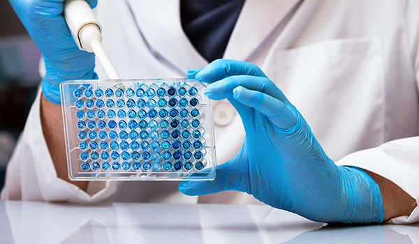 Cell-free Synbio Systems
