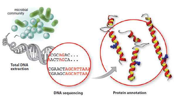 metagenomics-for-synbio
