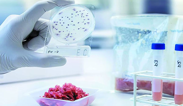 white-biotechnology